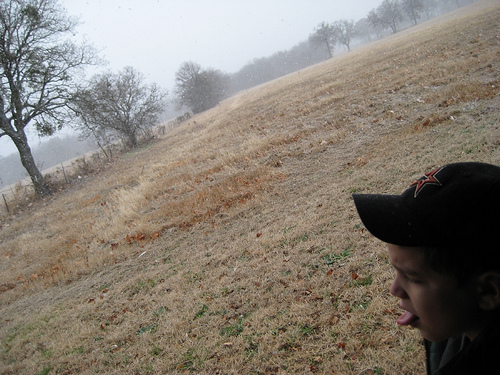 snow2