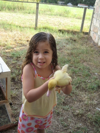 duck2