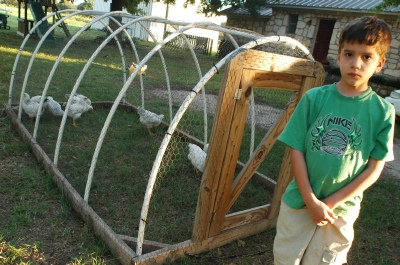 chick1