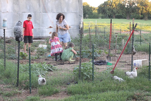 farm