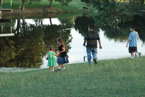 pond