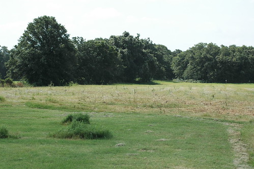 field