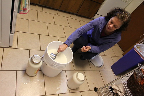 milk